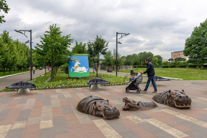 Бегемоты