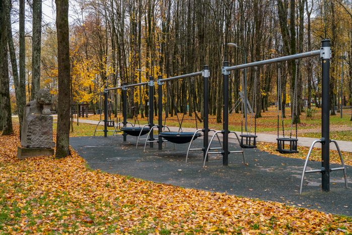 Качели в городском парке культуры и отдыха Солнечногорска осенью