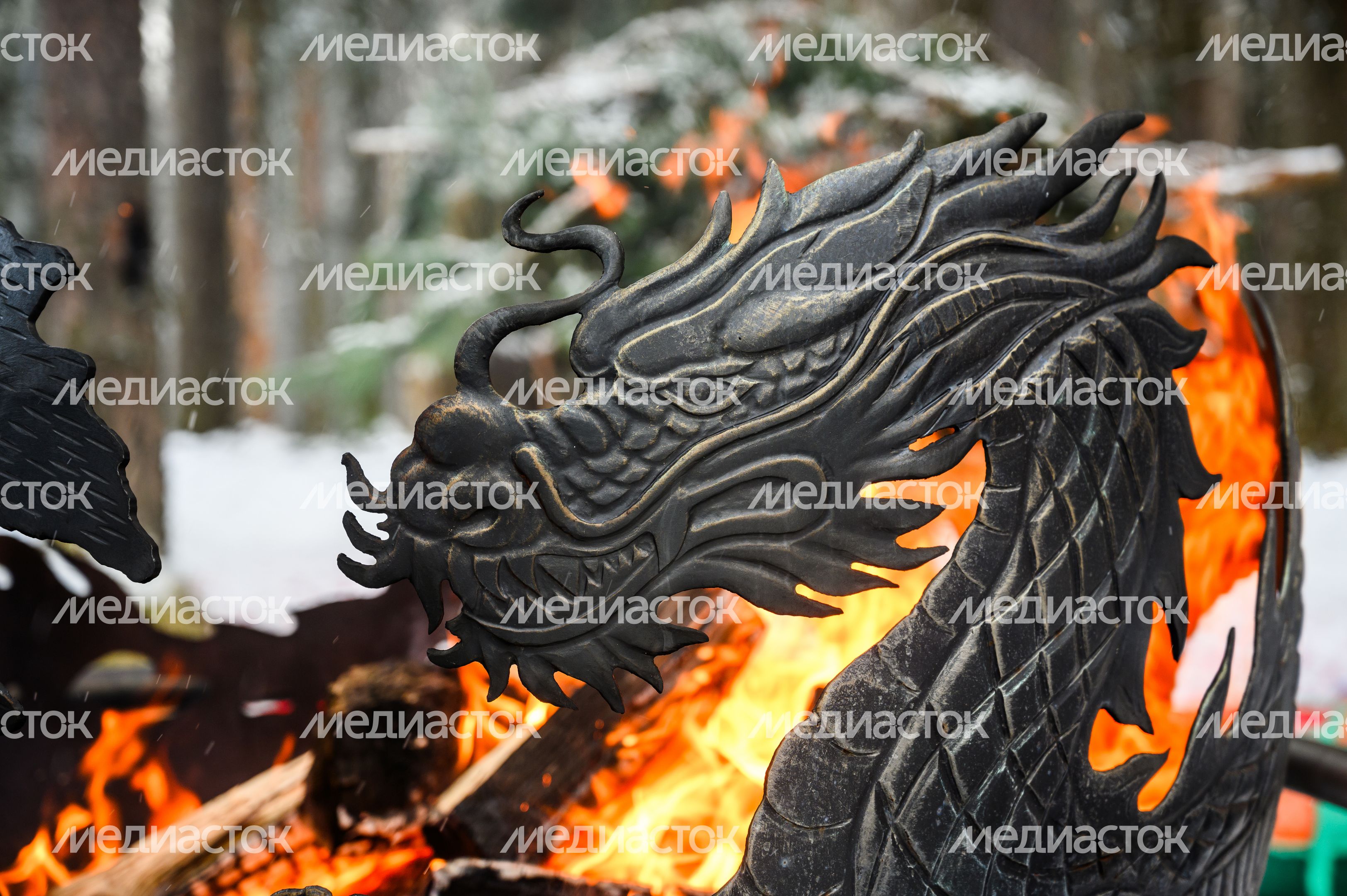 Праздник «Парки. Баранки» в Жуковском парке культуры и отдыха Праздник «Парки. Баранки» в Жуковском парке культуры и отдыха