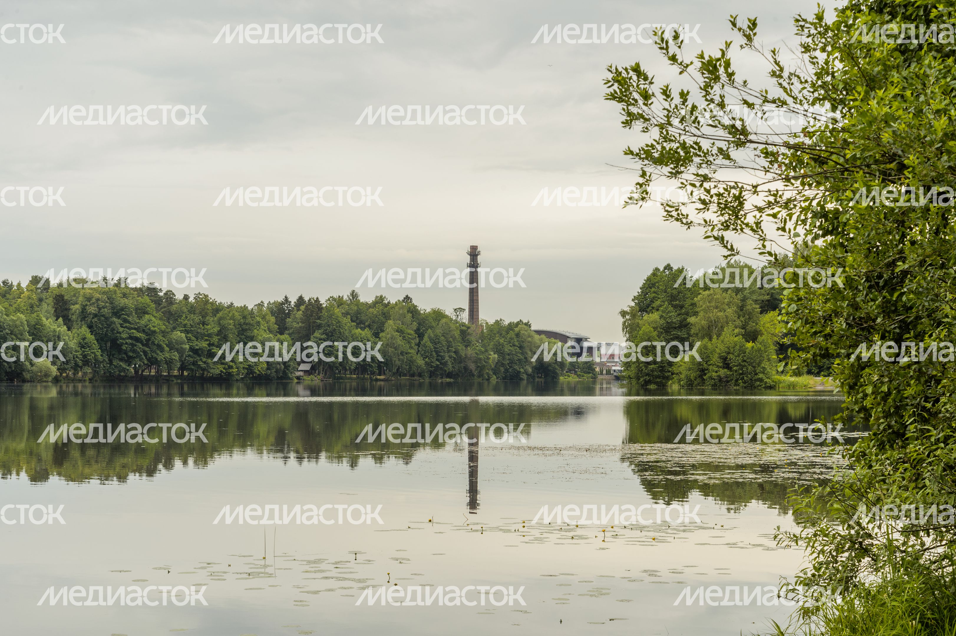 Черноголовский пруд