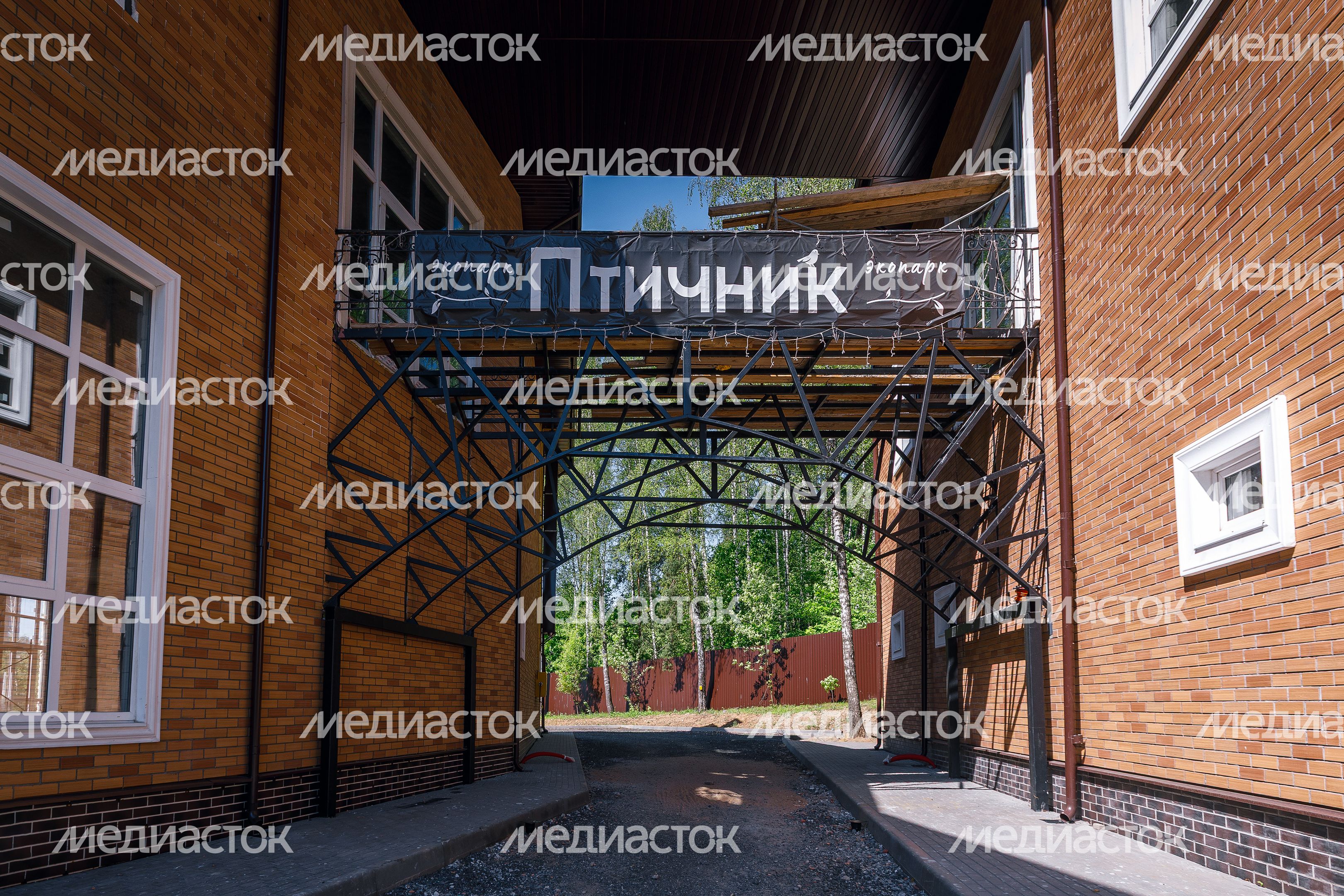 Экопарк «Птичник» в Пушкино Экопарк «Птичник» в Пушкино