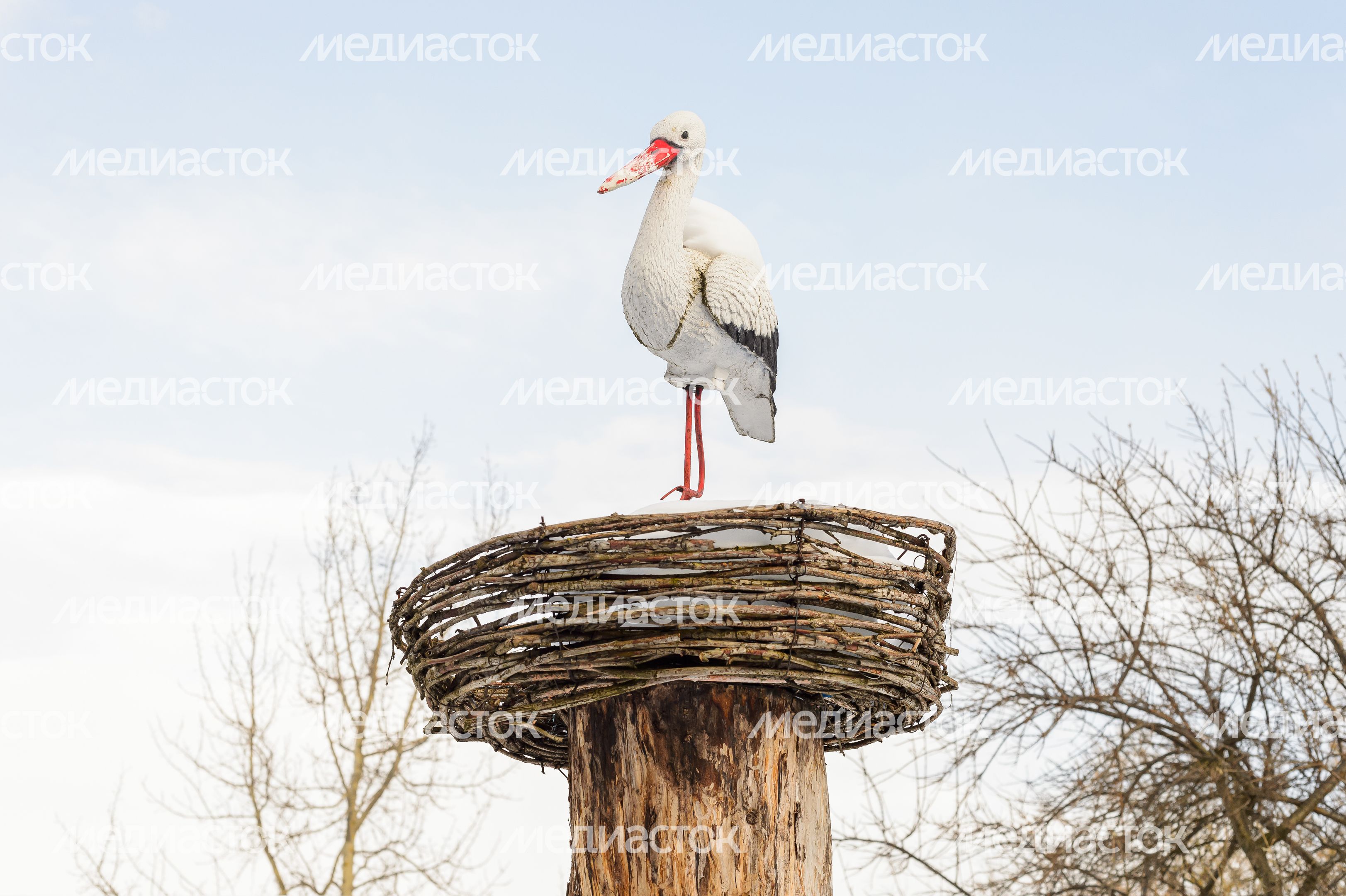 Конноспортивная база "Ангел" в Зарайске
