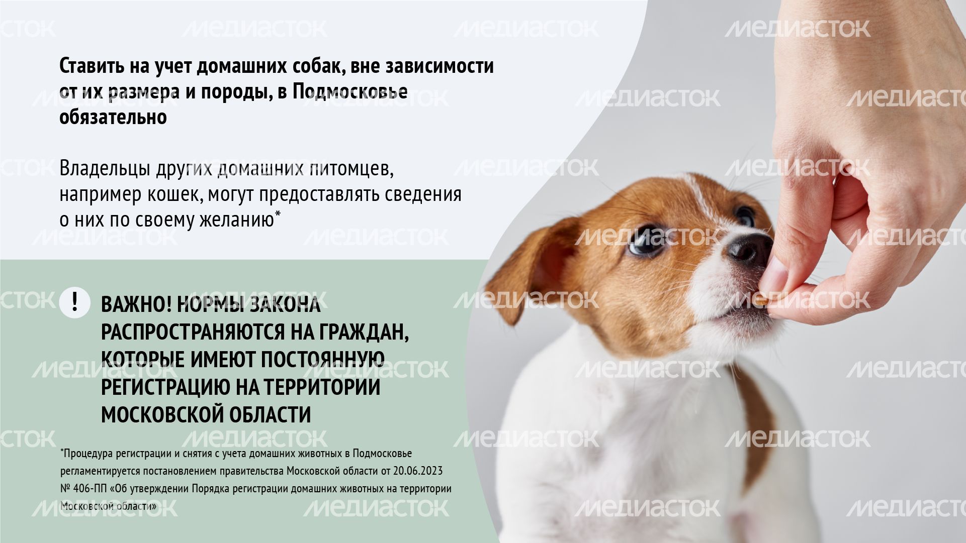 Горизонталь_ зарегистрировать домашнее животное_03-100.jpg