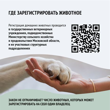 Зарегистрировать домашнее животное ред 2-квадрат-04.png