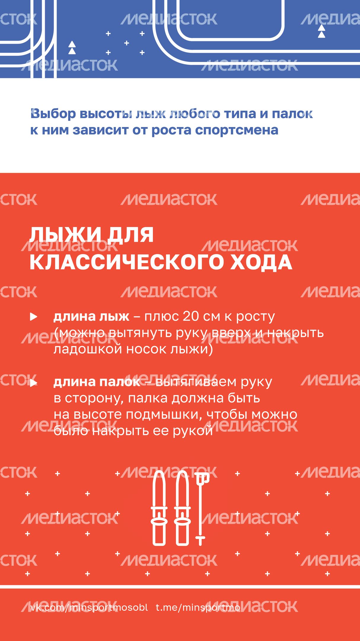 Как выбрать беговые лыжи_Вертикаль-05.jpg