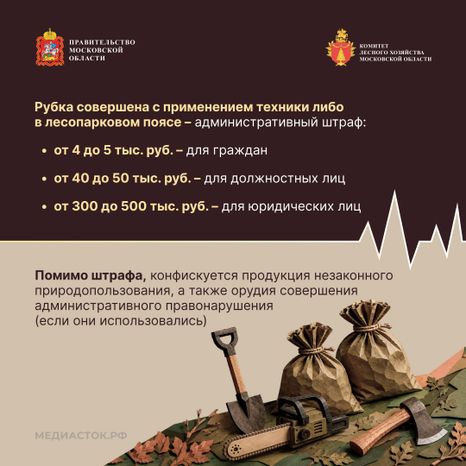 Незаконная рубка квадрат 04