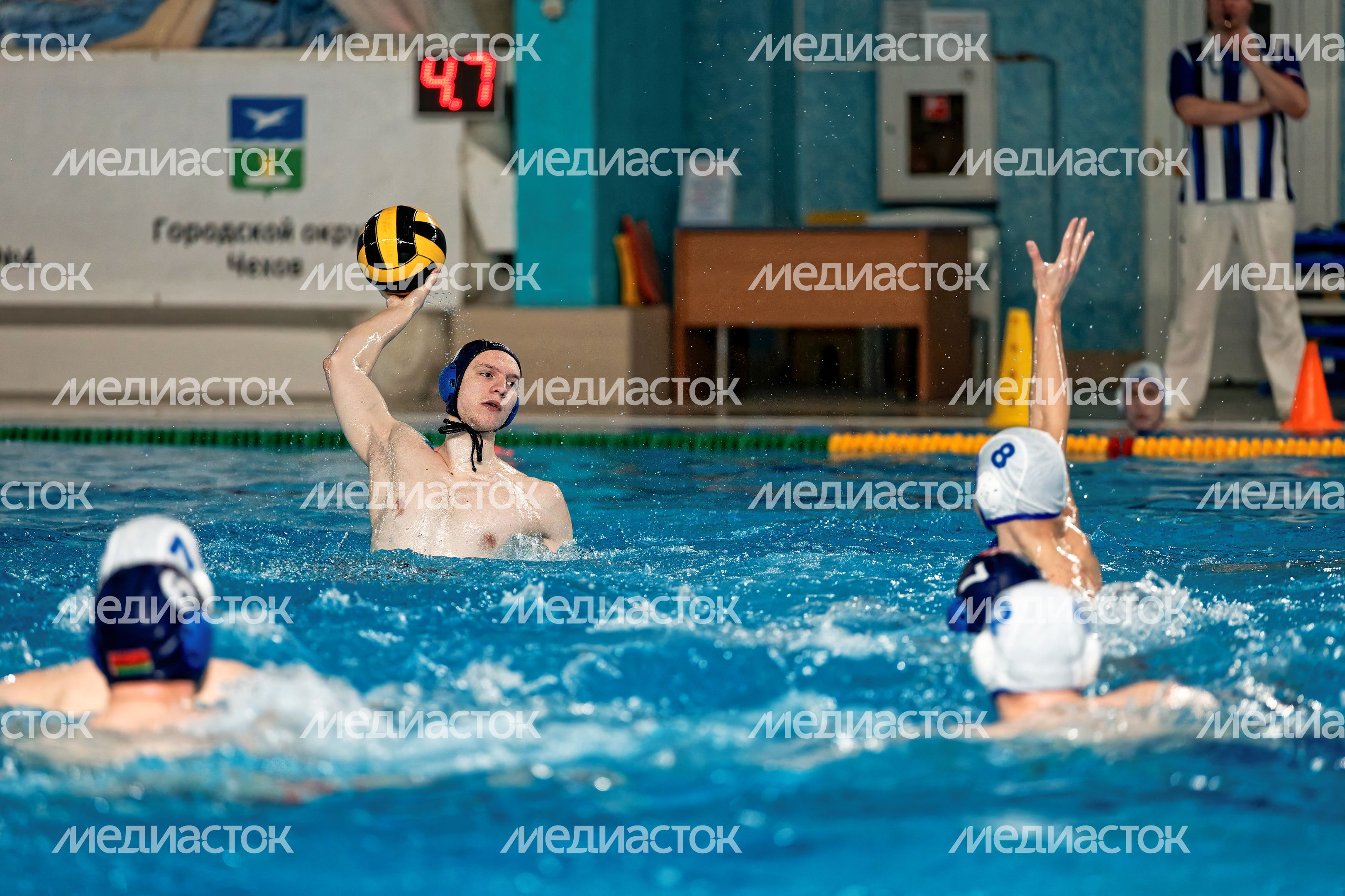Чемпионат России по водному поло среди мужских команд в Чехове Чемпионат России по водному поло среди мужских команд в Чехове