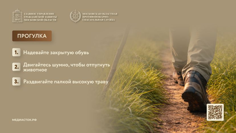 Гадюки горизонталь 05
