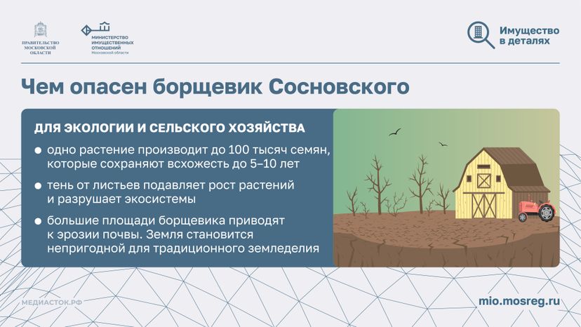 Борьба с борщевиком горизонталь 05