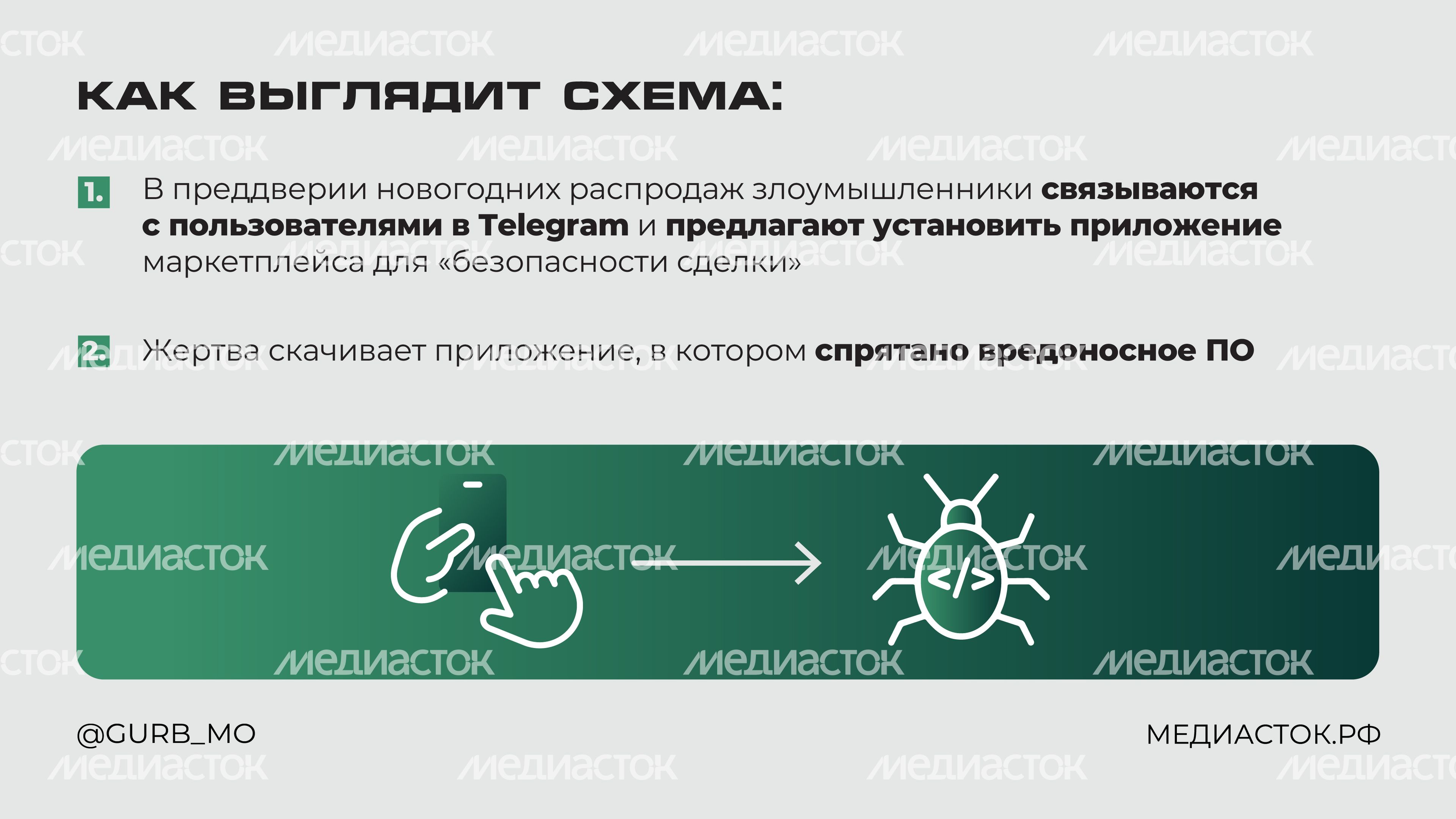 Мошенническая схема Мамонт горизонталь 02 Мошенническая схема Мамонт горизонталь 02