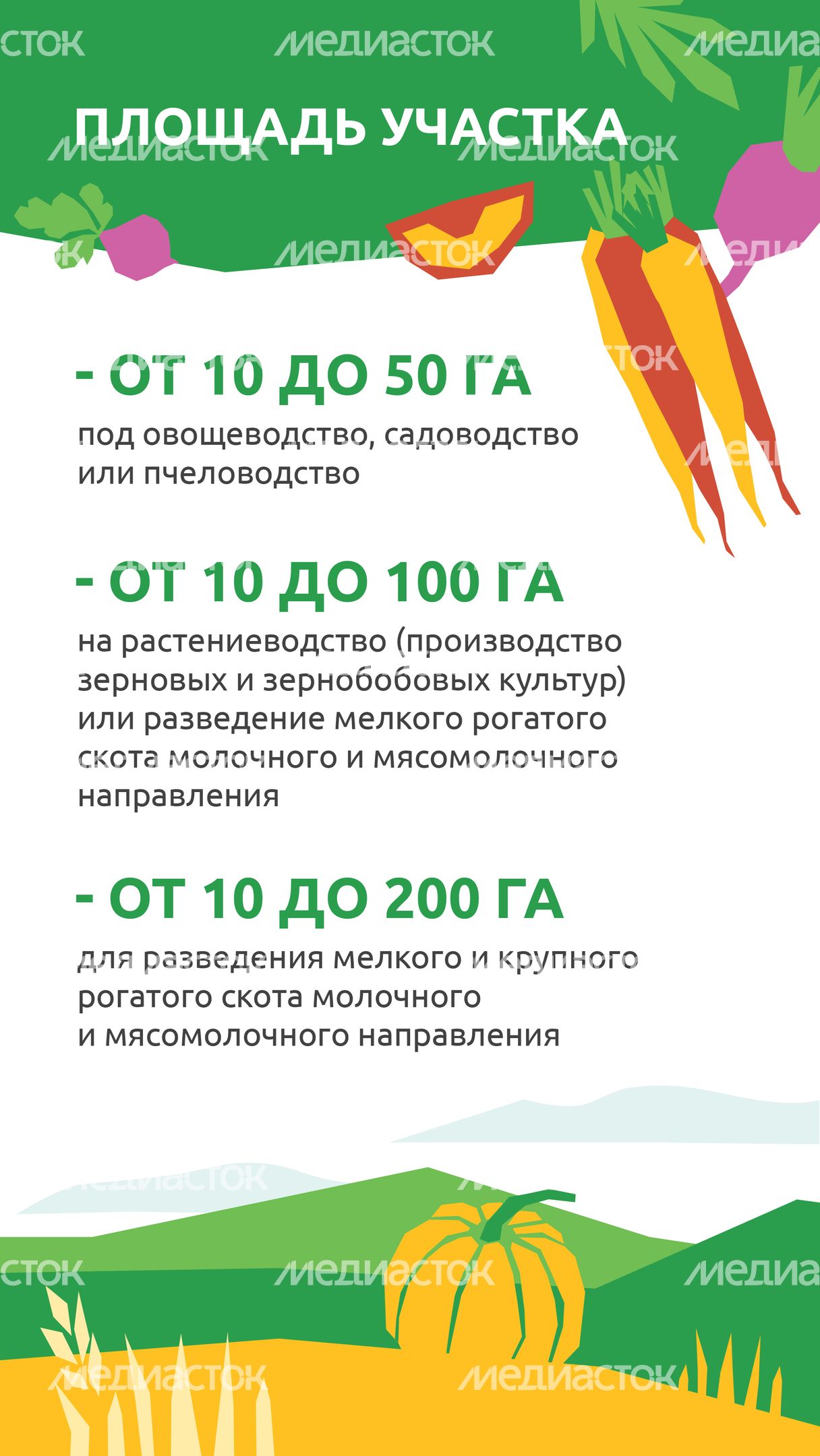 _Подмосковье 10г_-06.jpg
