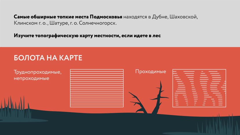 Болото-Горизонталь-03.jpg