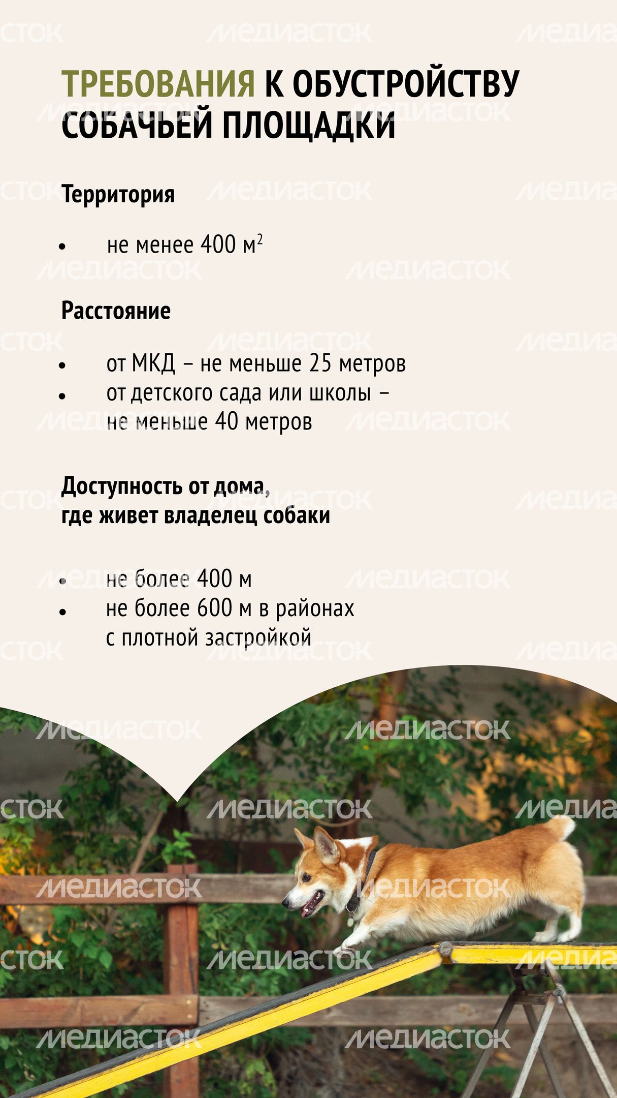 Голосование. Собачьи площадки-04.jpg