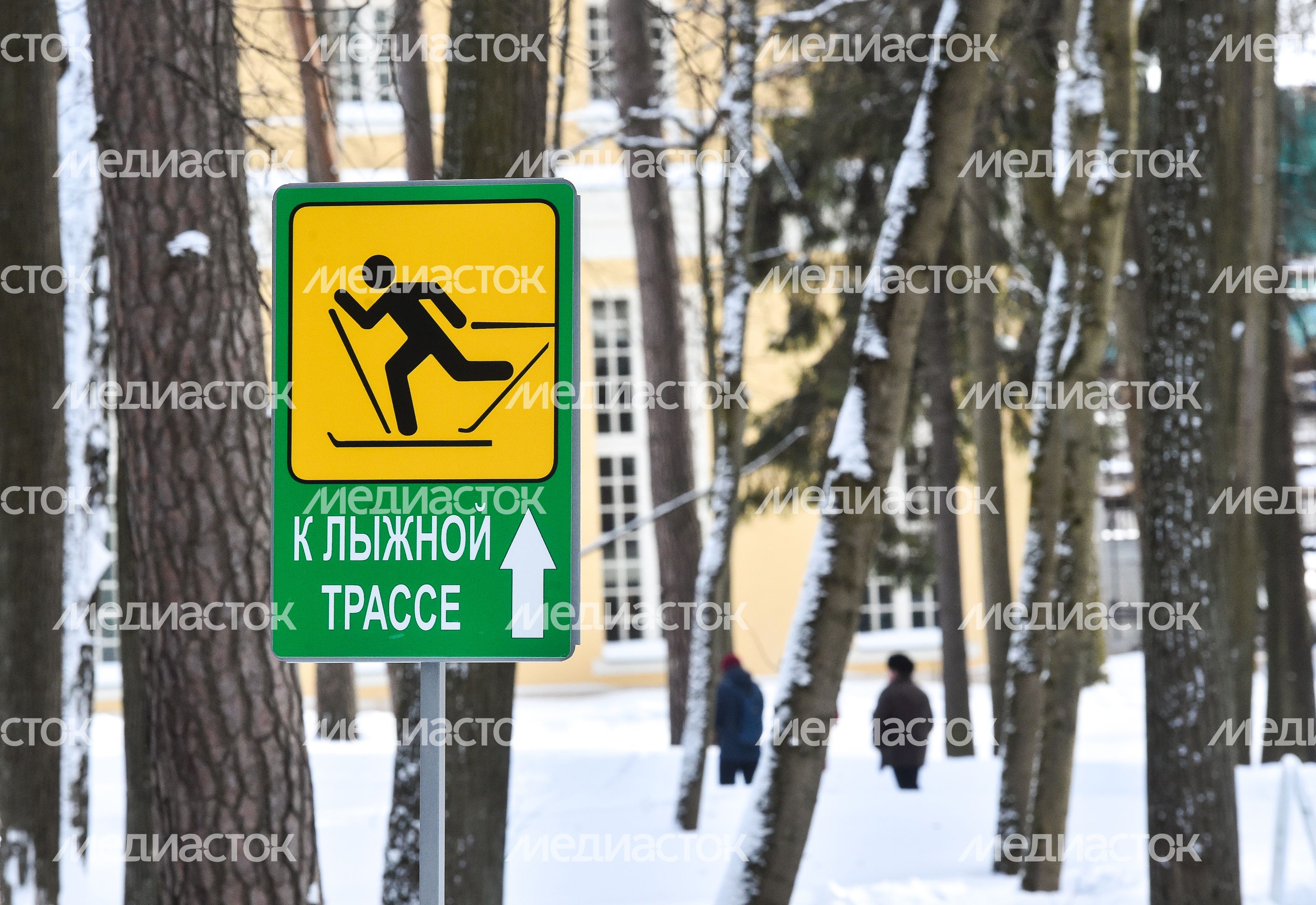 Подготовка к лыжной гонке в музее-усадьбе «Архангельское»