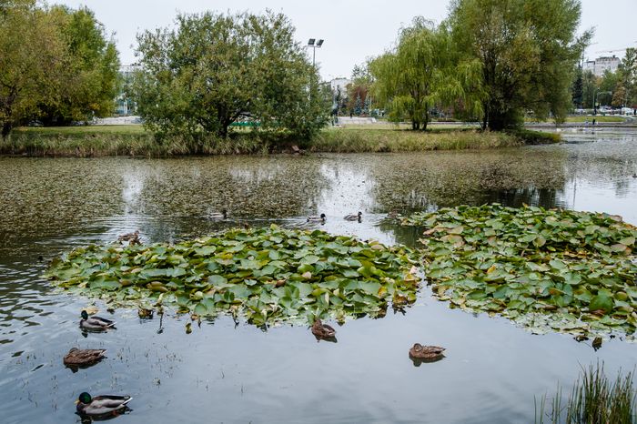Виды города Одинцово