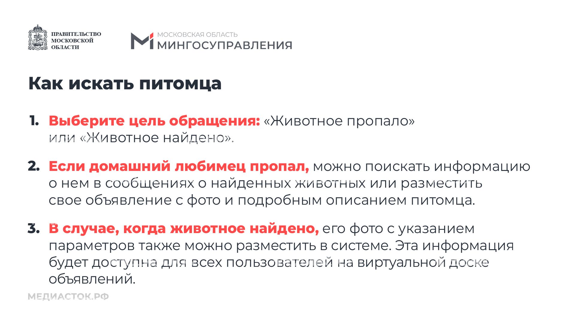 Домашние животные горизонталь 07 Домашние животные горизонталь 07