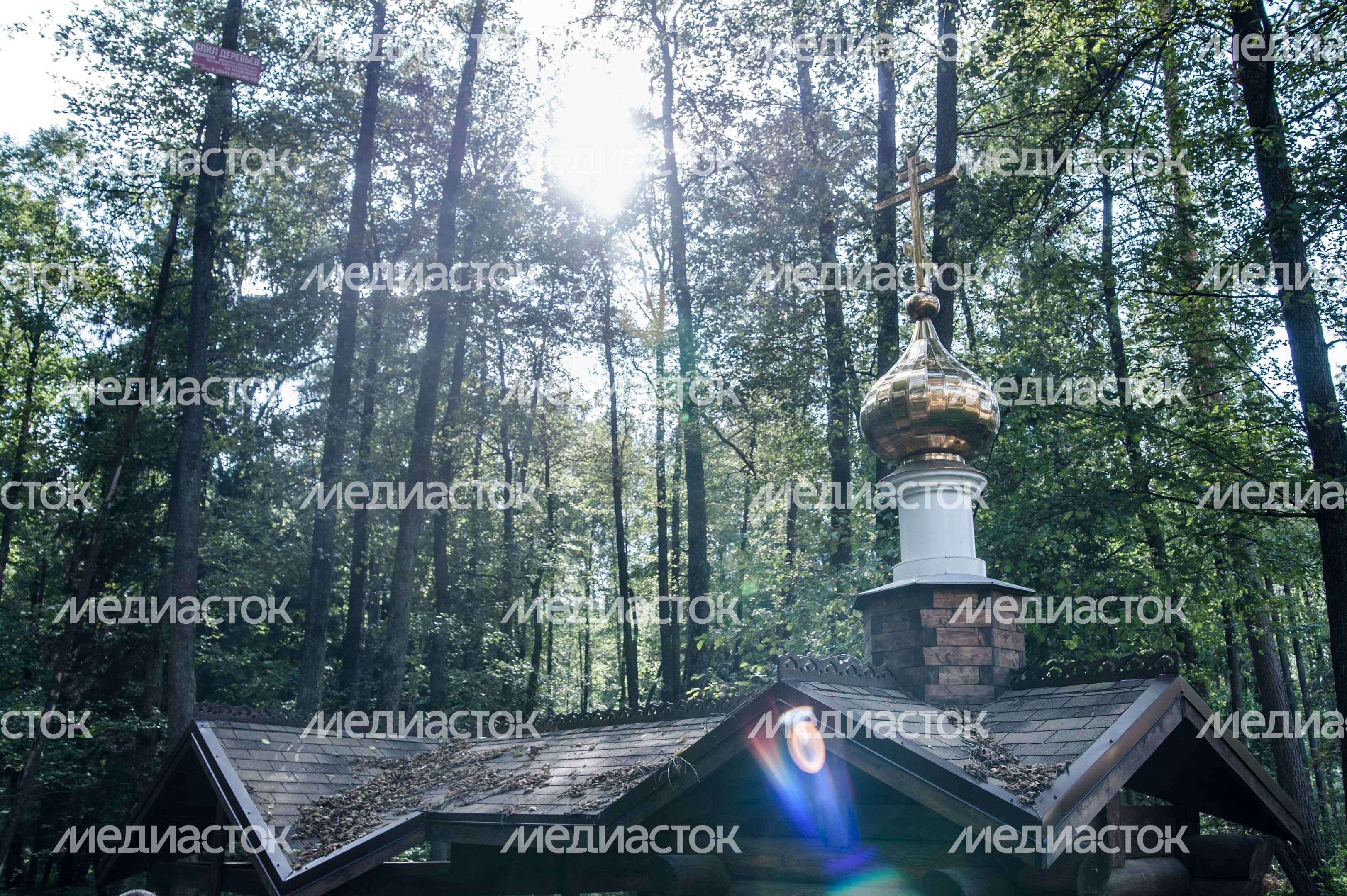Анциферовский родник