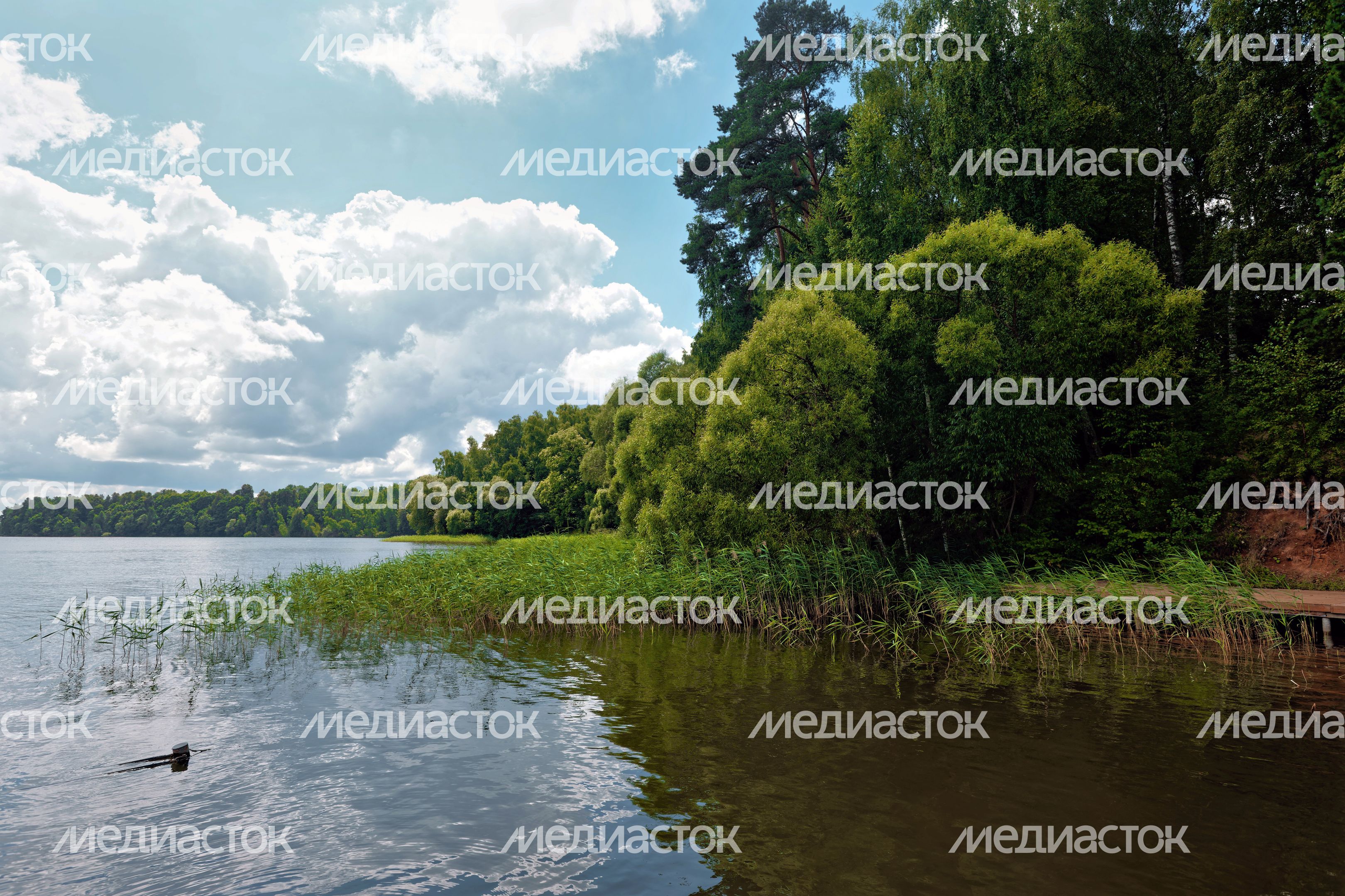 Отдых у воды Истринского водохранилища в загородном отеле «Истра»