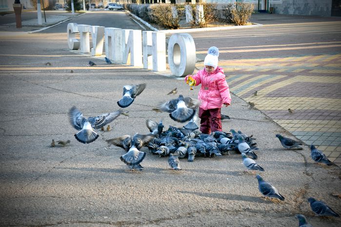 Девочка кормит голубей в Ступино