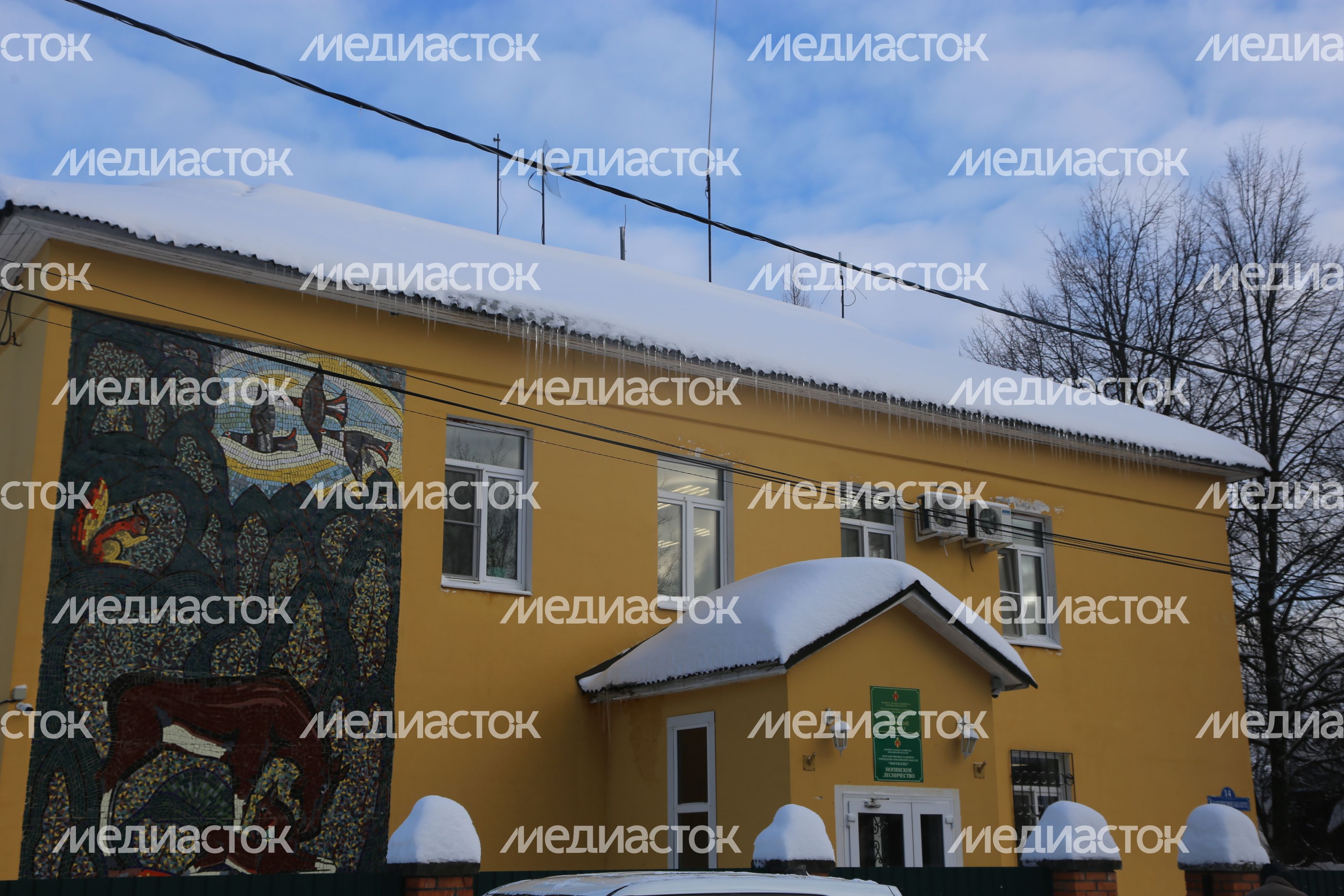 Совещание Мурашова в Ногинском лесничестве и осмотр ЛПС