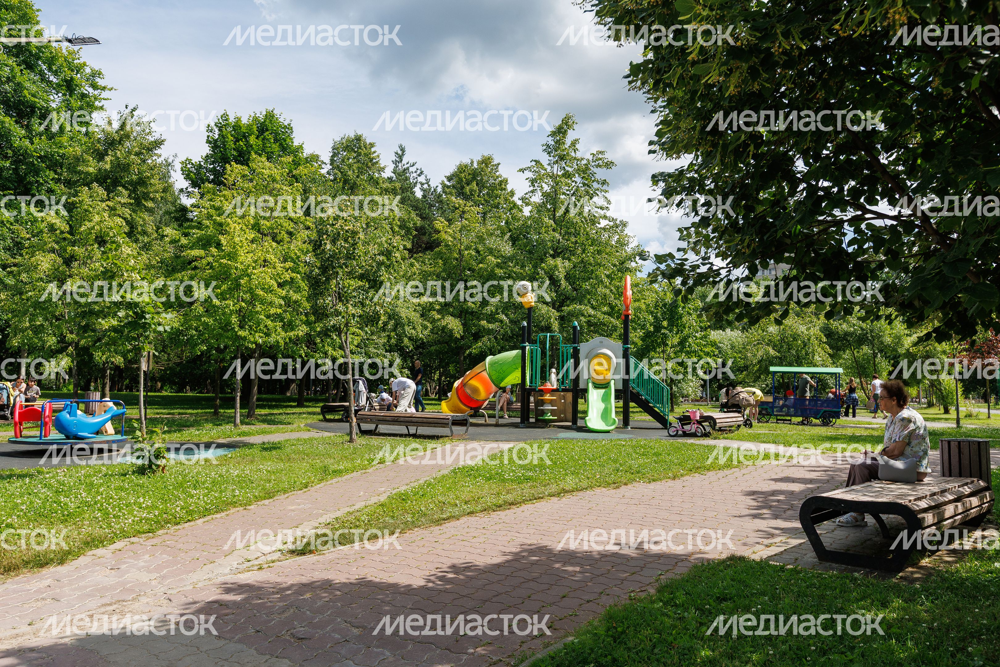 Центральный парк Реутова летом Центральный парк Реутова летом
