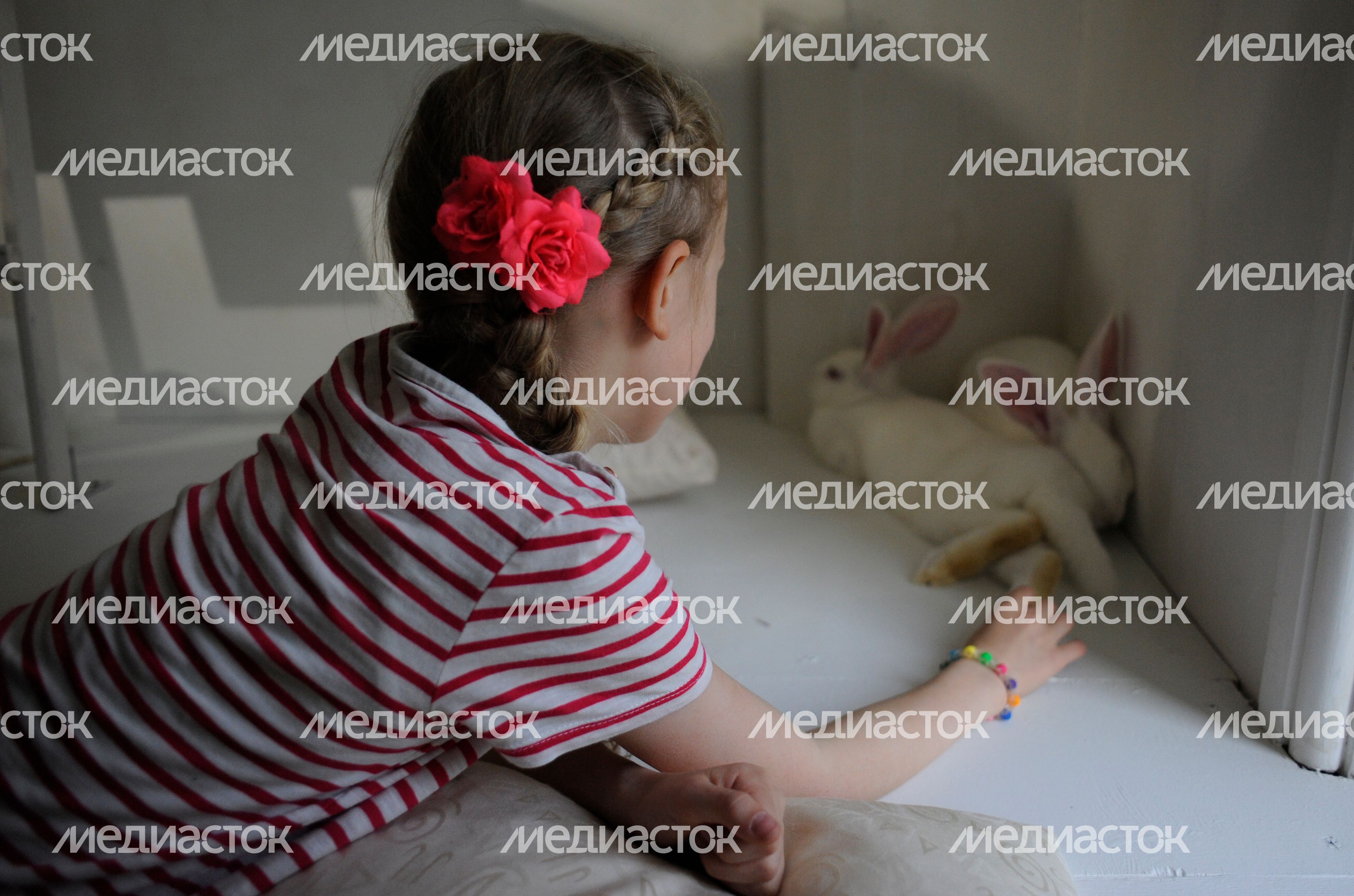 Выставка-иллюзия «Алиса в стране чудес»