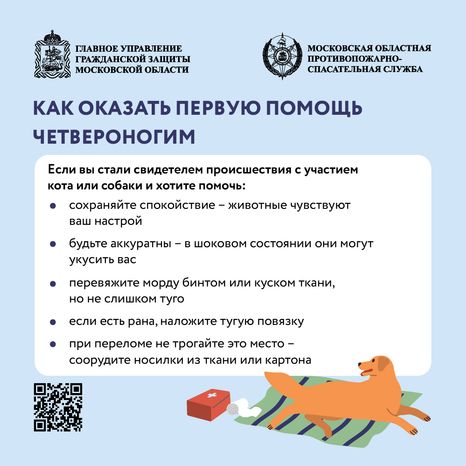 Помощь усатым - квадрат-07