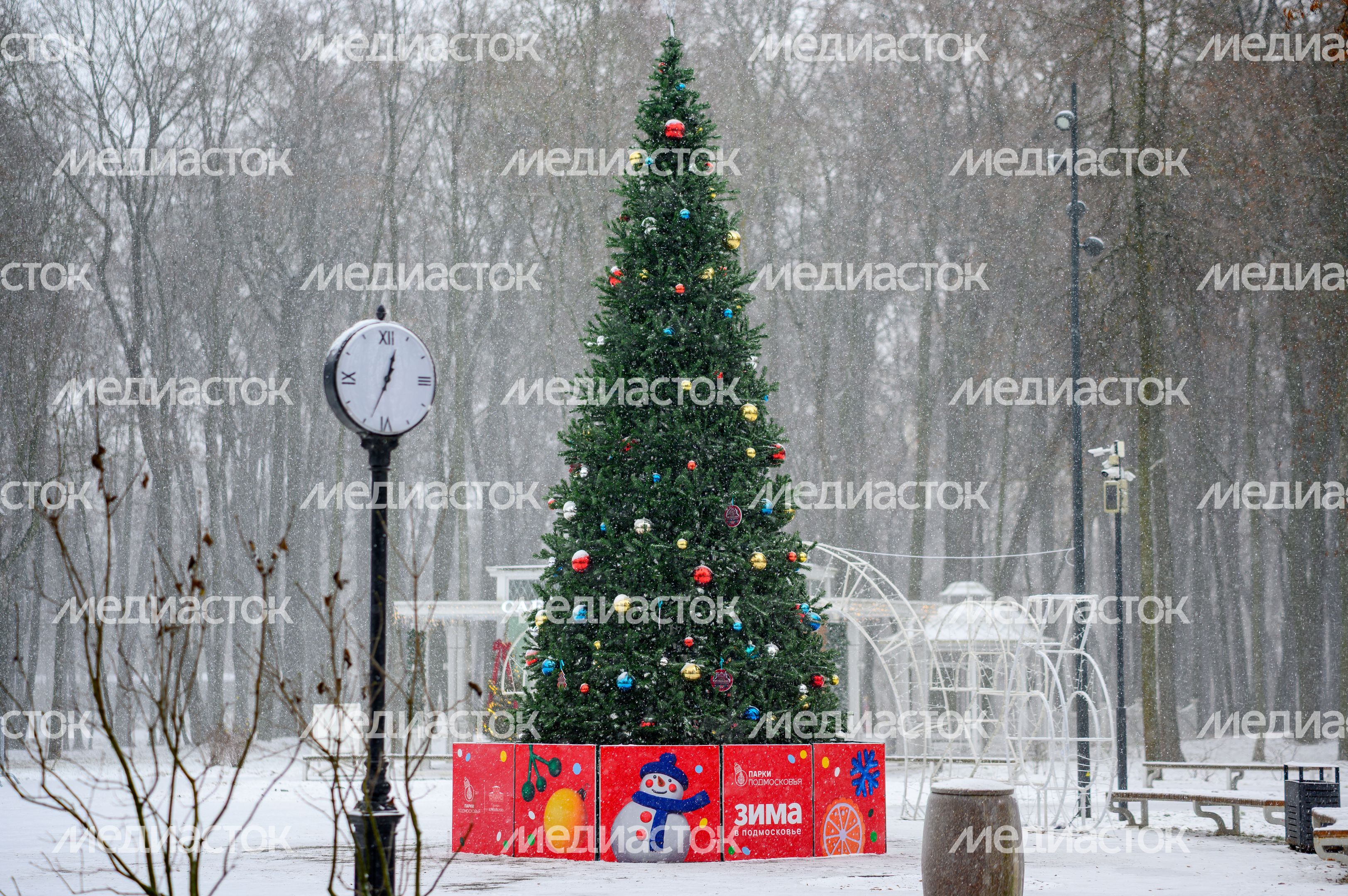 Новогодняя елка в парке усадьбы Кривякино в Воскресенске Новогодняя елка в парке усадьбы Кривякино в Воскресенске