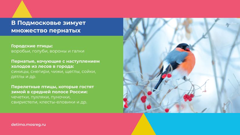 синичкин_день_горизонталь_03.jpg