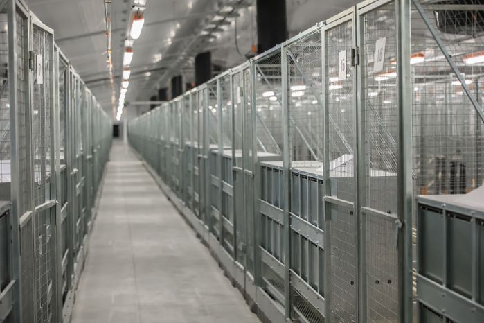 Открытие селекционно-племенного комплекса в Сергиево-Посадском округе с участием Губернатора Подмосковья