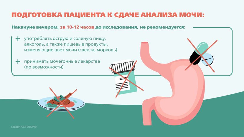 Подготовка к исследованию мочи Горизонталь 03