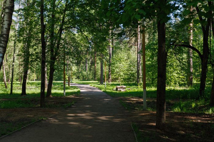 Весна в лесопарке «Северный» в Пушкино