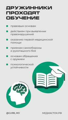 Как стать народным дружинником вертикаль 06