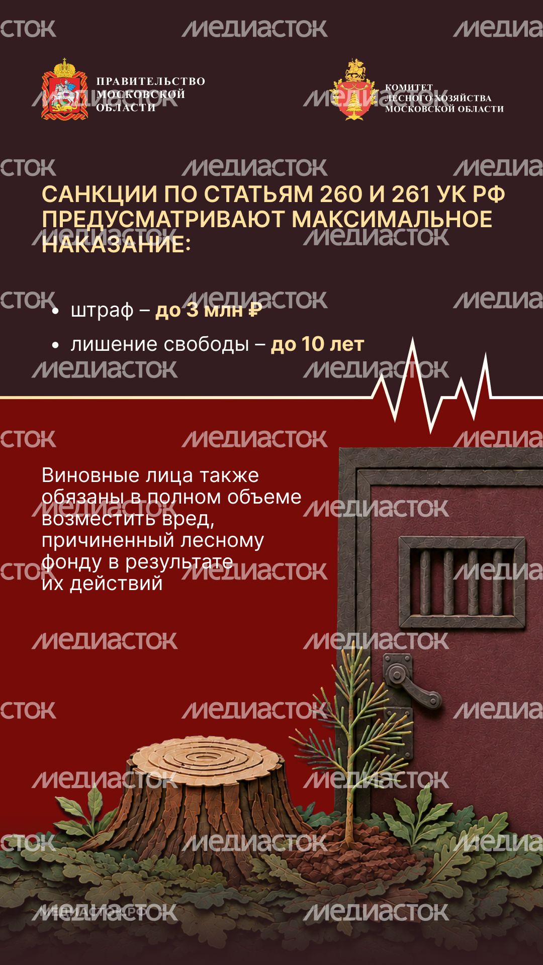 Самовольный захват и использование лесных участков вертикаль 07