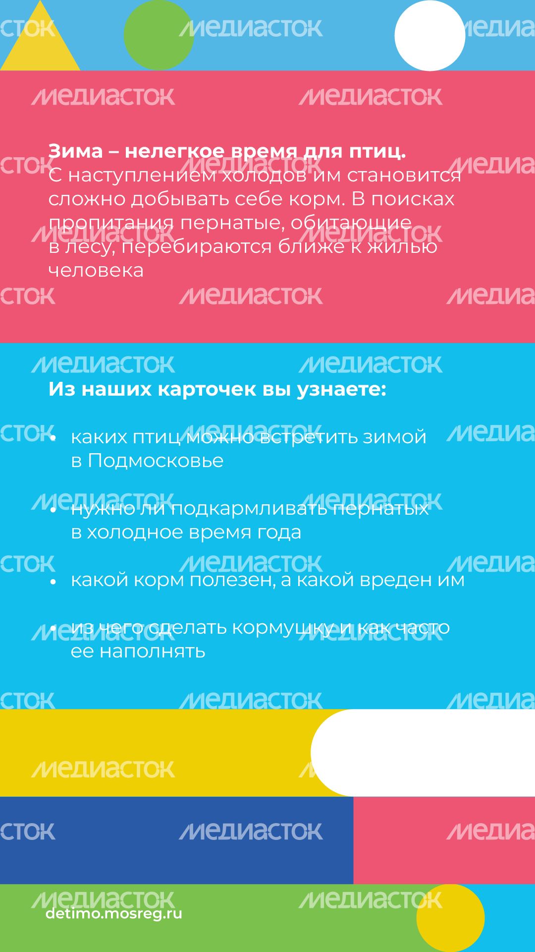 Синичкин_день_вертикаль_02.jpg
