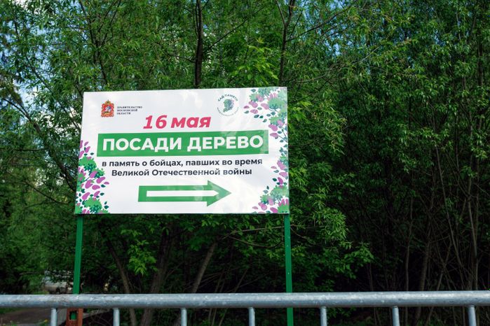 Сад Памяти в Подмосковье-2026: акция по посадке деревьев в Химках