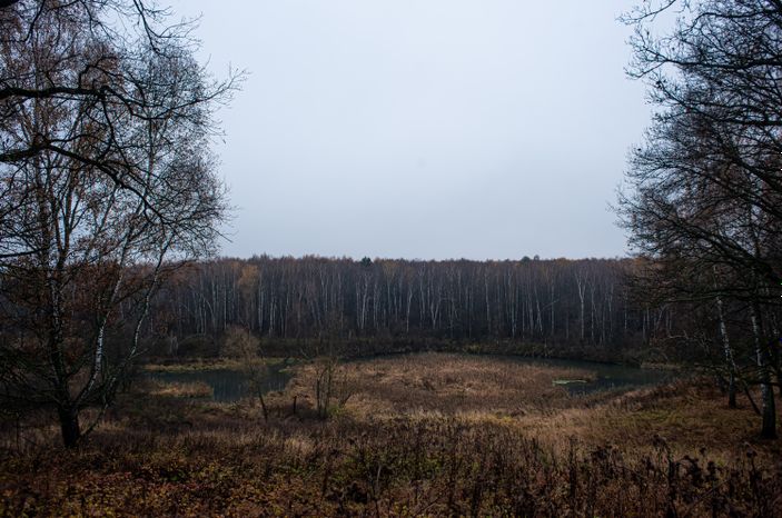 Окрестности Володарской каменоломни