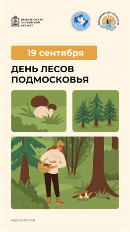 19 сентября вертикаль 01