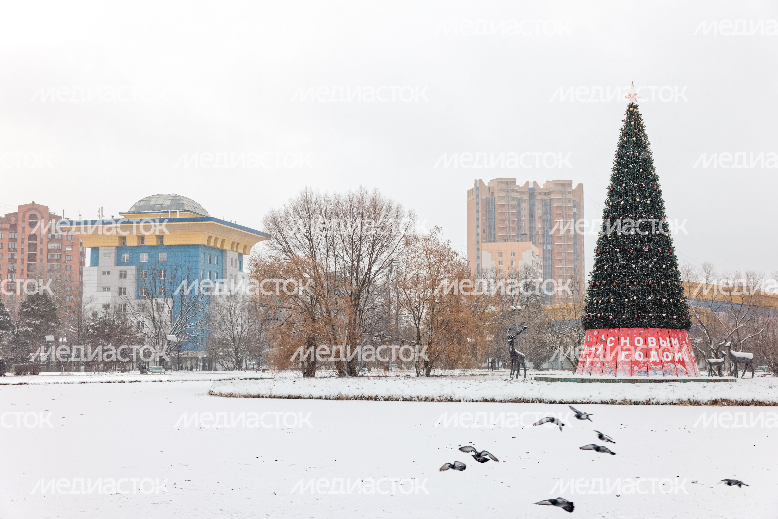 Центральную площадь Одинцово украсили к Новому году Центральную площадь Одинцово украсили к Новому году
