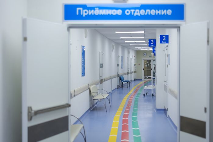 Детский клинический центр им. Л.М. Рошаля