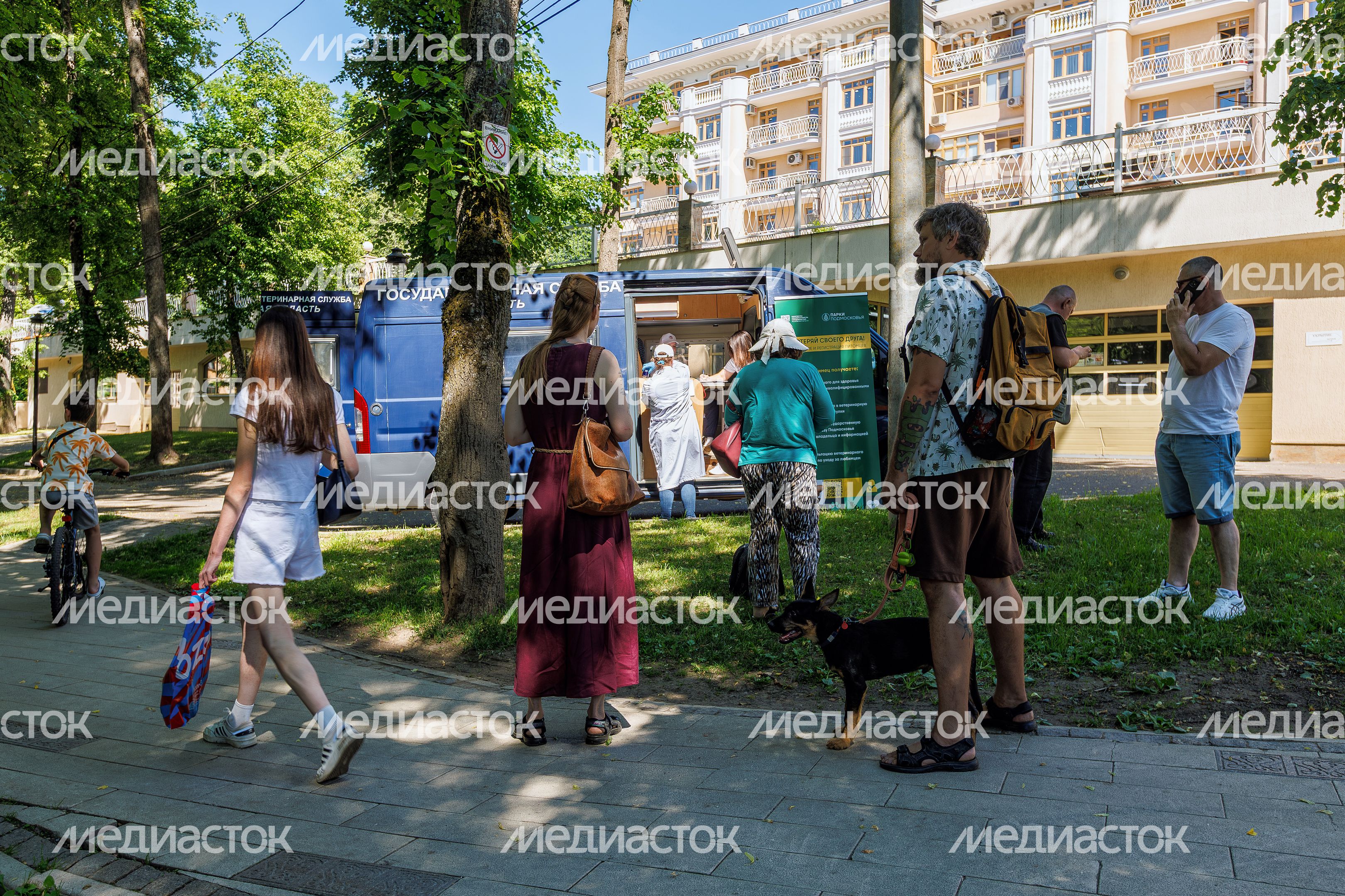 Выездная вакцинация, регистрация и чипирование домашних животных в Звенигородском парке Одинцовского округа