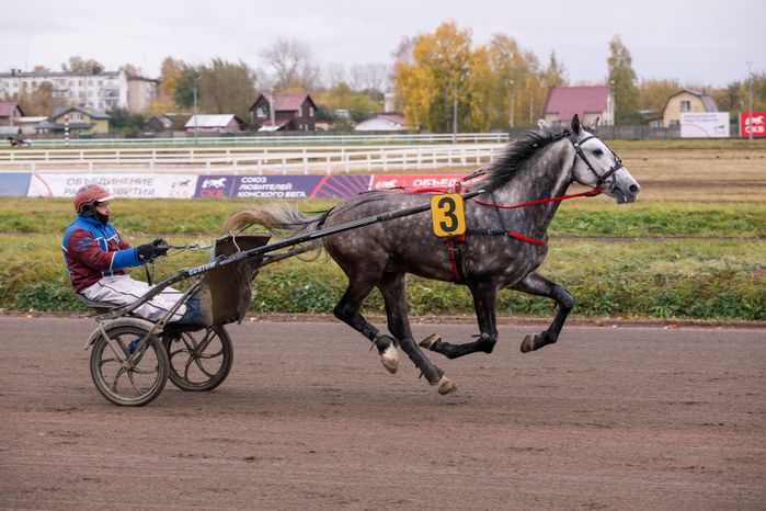 Раменское. Финал Чемпионата наездников