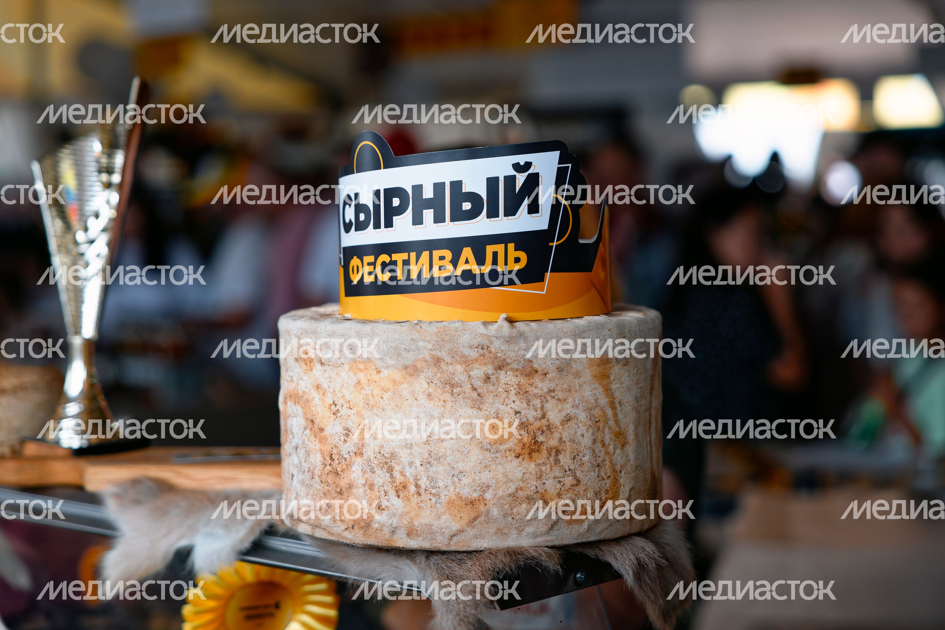 Сырная голова на Сырном фестивале в Истре Сырная голова на Сырном фестивале в Истре