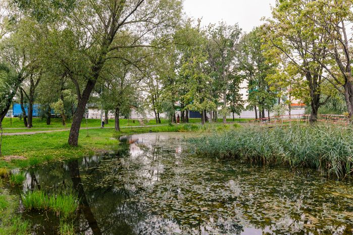 Парк "Фабричный пруд" в Реутове. Лето