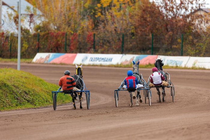 Рысистые бега на Раменском ипподроме