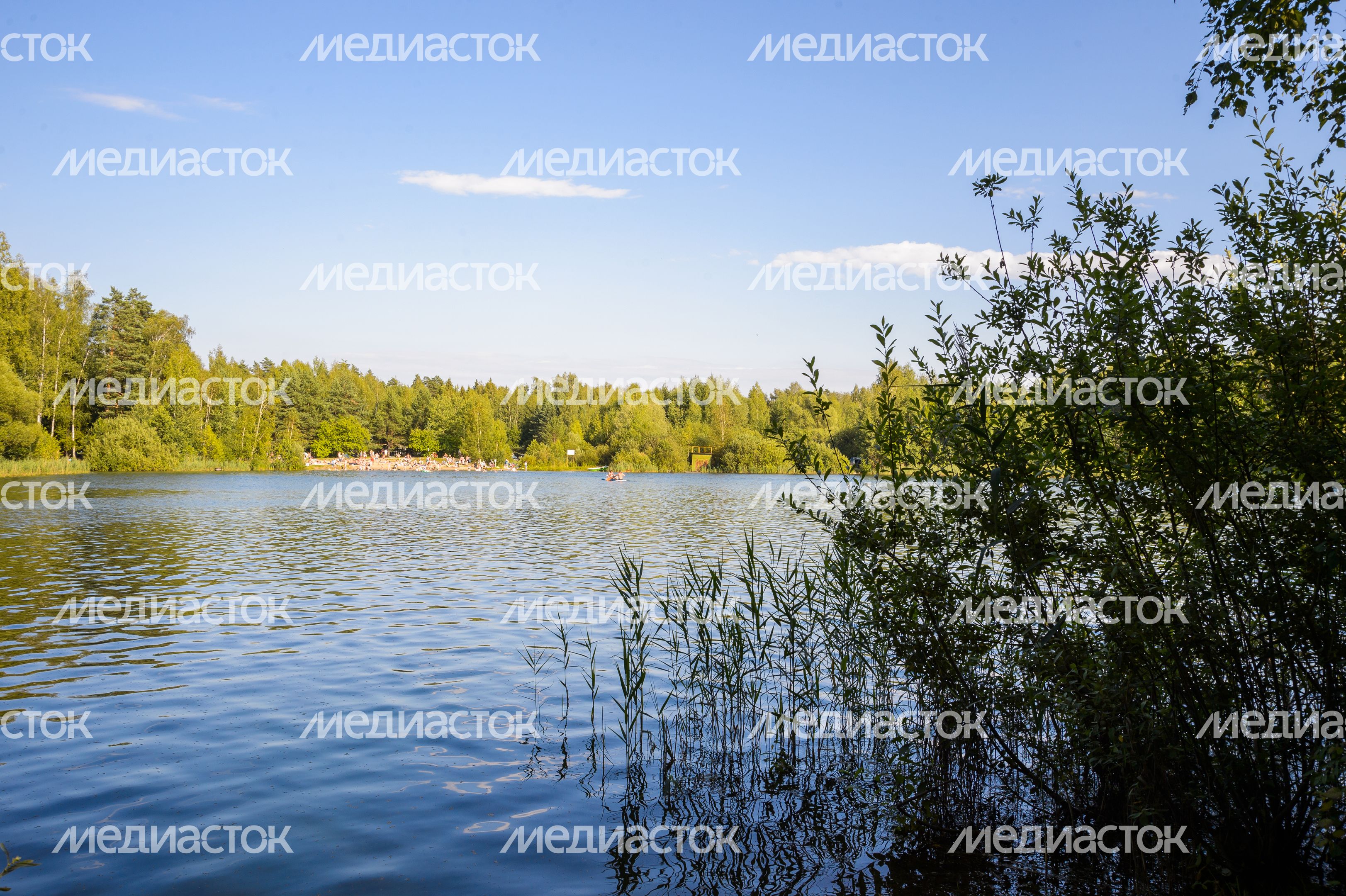 Озеро Северное в Черноголовке Озеро Северное в Черноголовке
