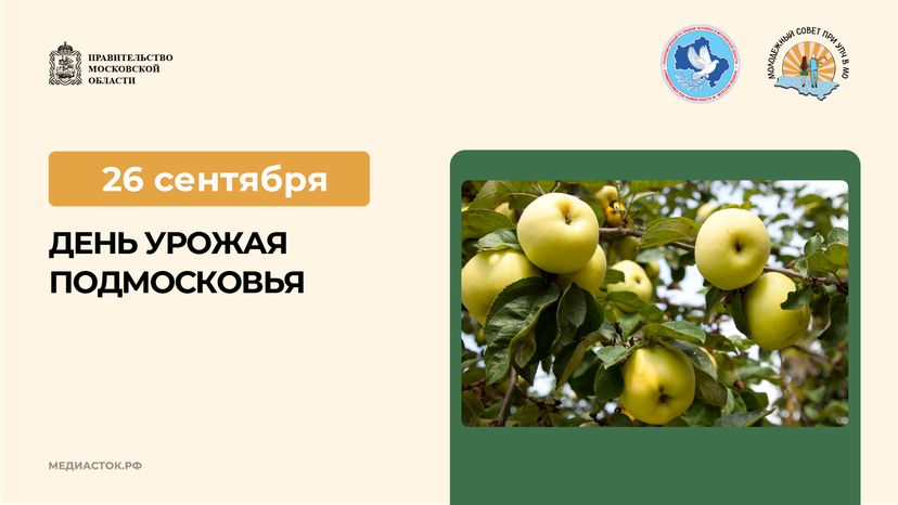 26 сентября горизонталь 02