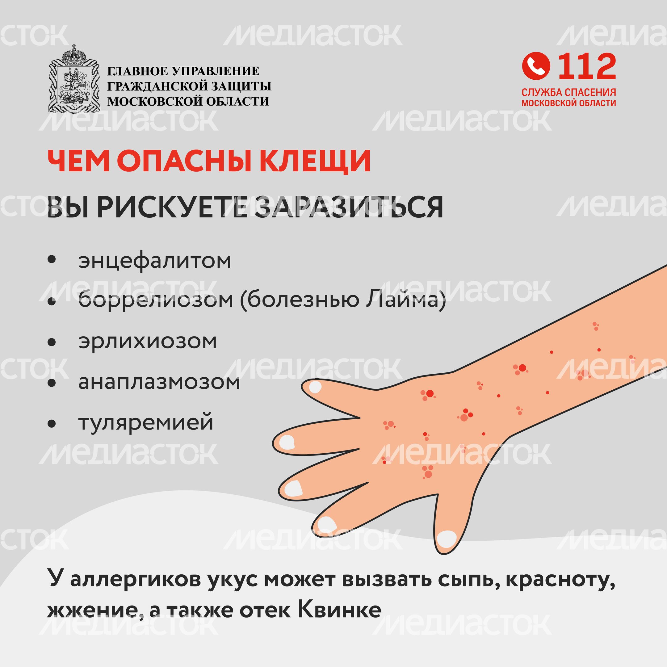 клещи_квадрат_04