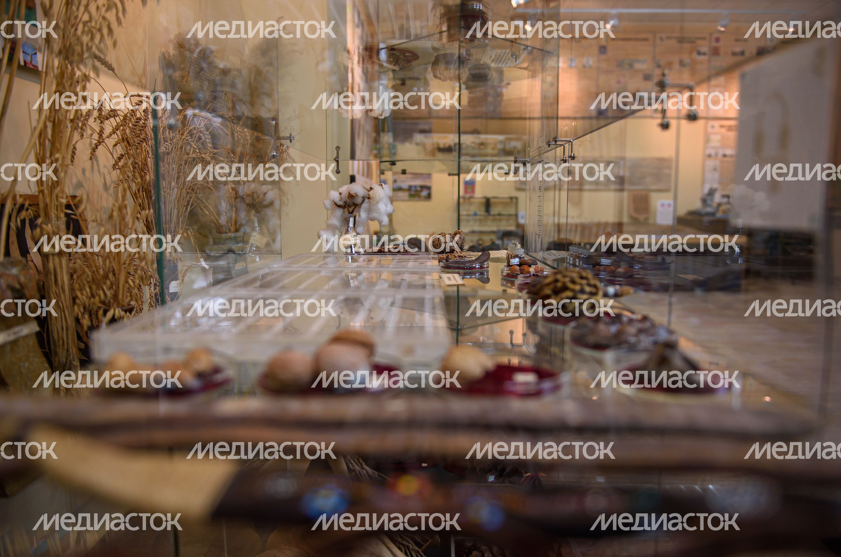 Пущинский музей экологии и краеведения