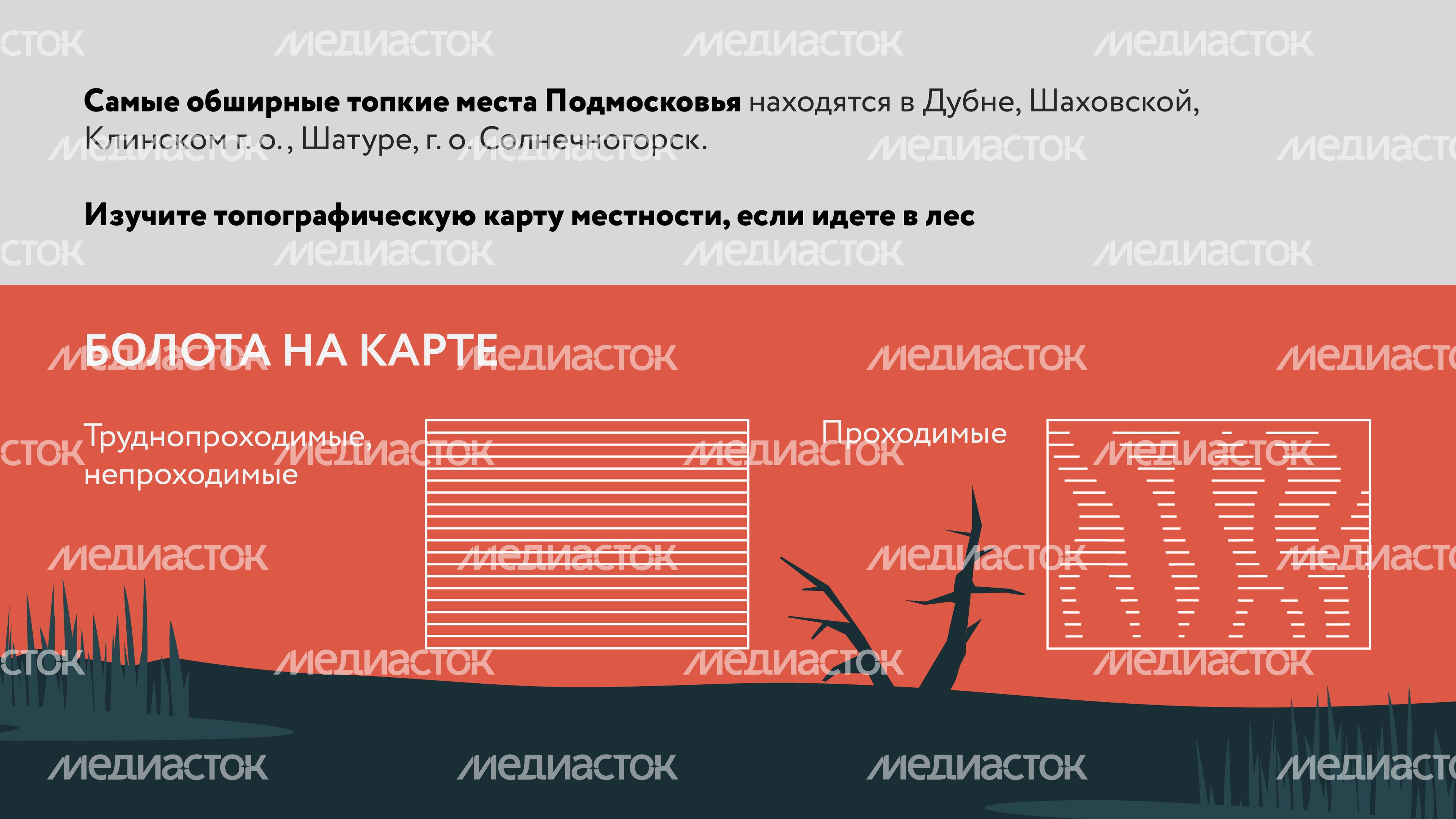 Болото-Горизонталь-03.jpg